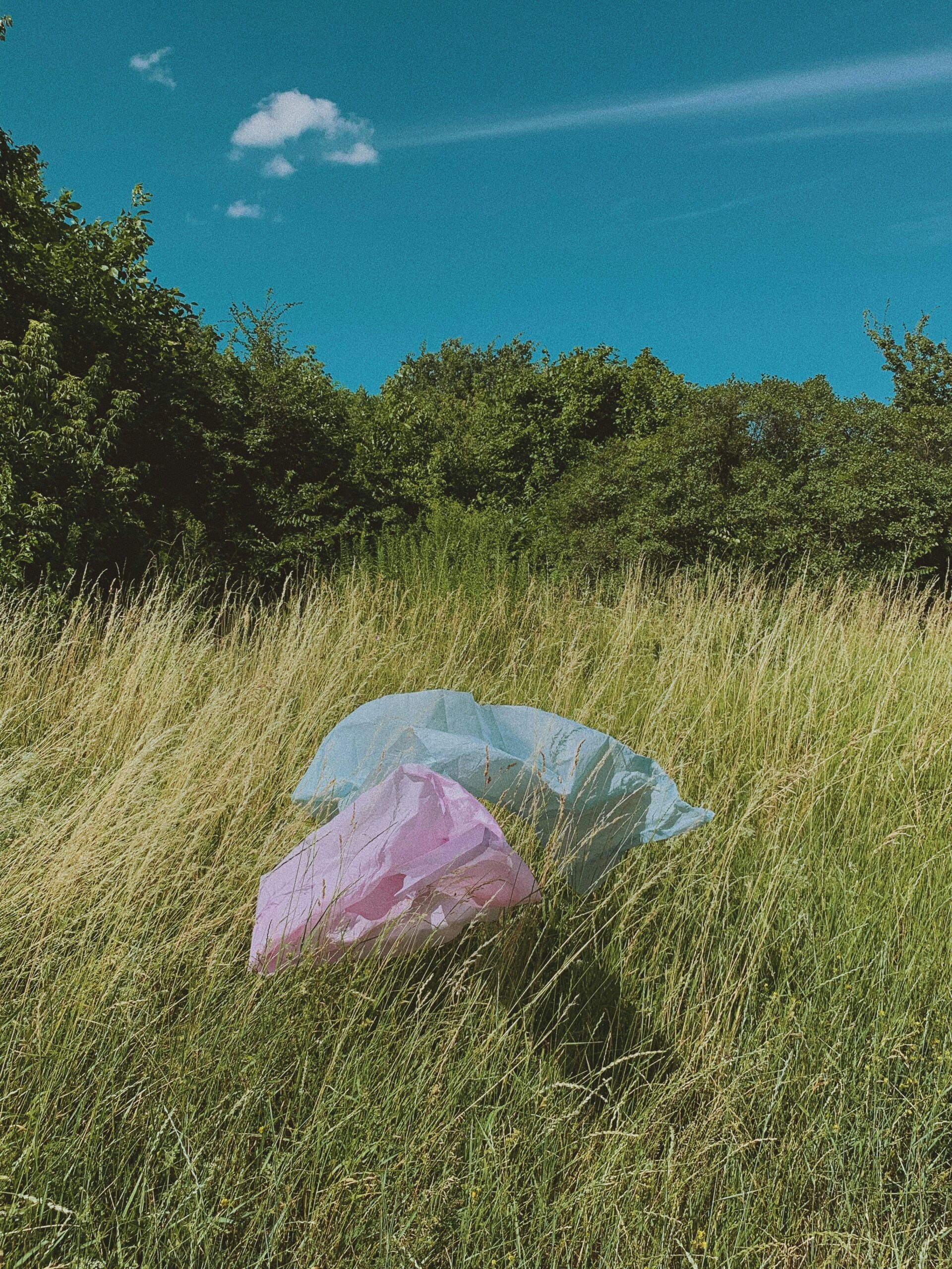 Plastic bags in grass land
